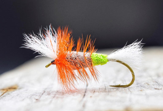 Salmon Bomber Pattern - a comprehensive history of the Salmon Fishing legend - SPRITE Fishing