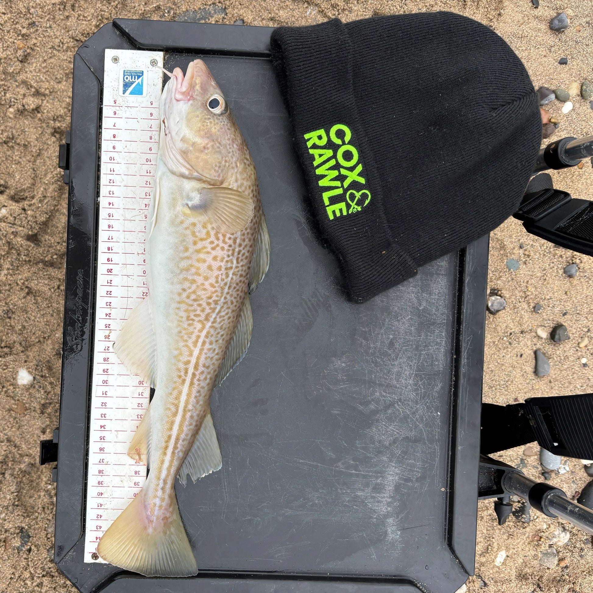 Cox & Rawle Beanies SPRITE Fishing