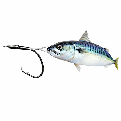 Cox-&-Rawle-Circle-Hook-Bridle-Rig-Fine-Wire-SPRITE-Fishing