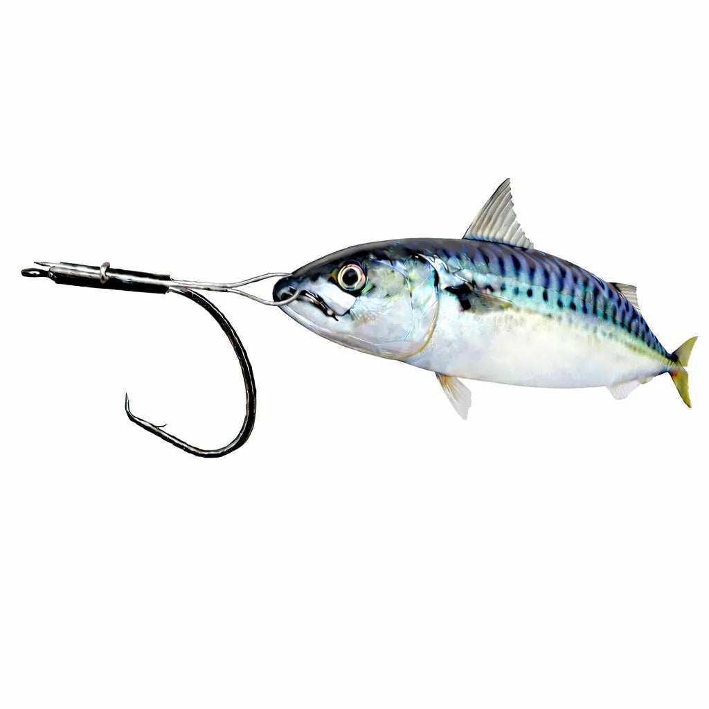 Cox-&-Rawle-Circle-Hook-Bridle-Rig-Fine-Wire-SPRITE-Fishing