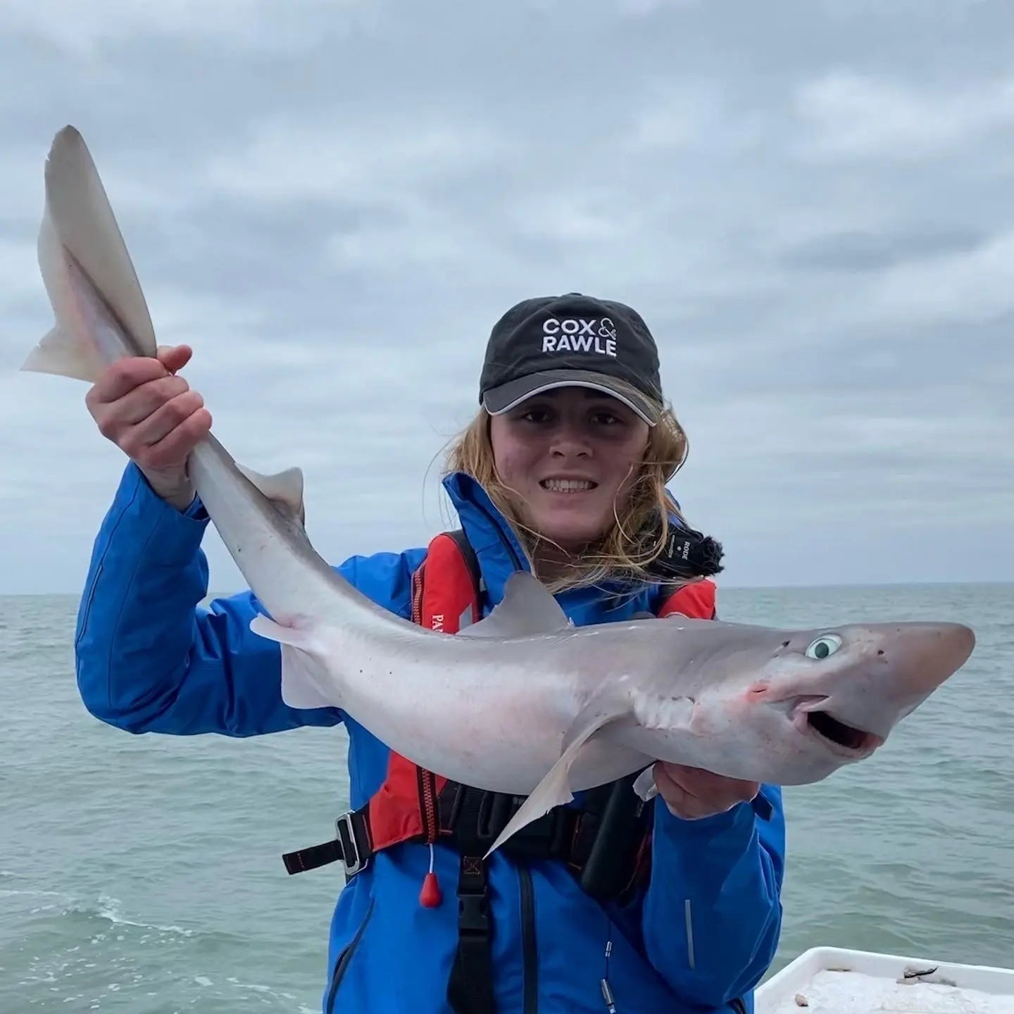 Cox & Rawle Mutsu Circle Hook for Dongle Rigs and Bass, Pollack, Cod, Smoothhound and Tope SPRITE Fishing