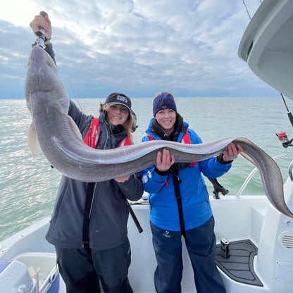 Cox & Rawle SCR25 Meat Hooks for Conger, Skate and Rays, Shark, Tope and Smoothhound SPRITE Fishing