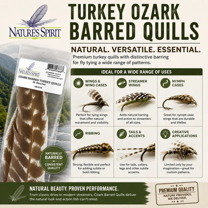 Nature's Spirit Ozark Barred Turkey Quills | Premium Fly Tying Material