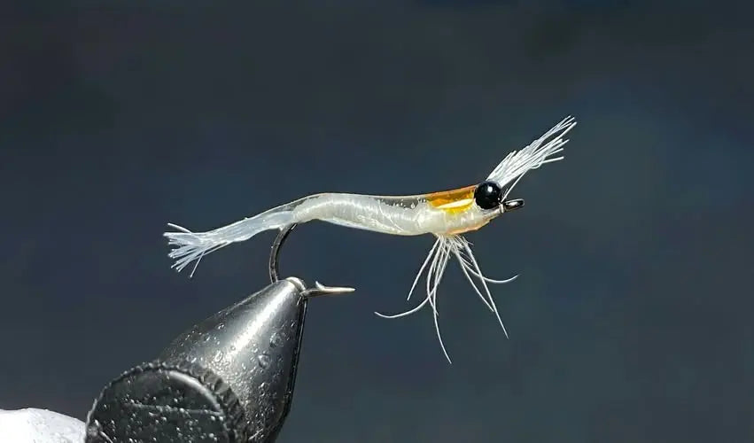 Partridge CS56 Swimming Shrimp Hook SPRITE Fishing