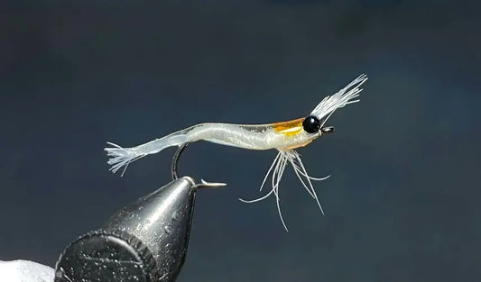 Partridge CS56 Swimming Shrimp Hook SPRITE Fishing