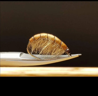 Partridge Competition Barbless SLP Grab Pupa Hook - SPRITE Fishing