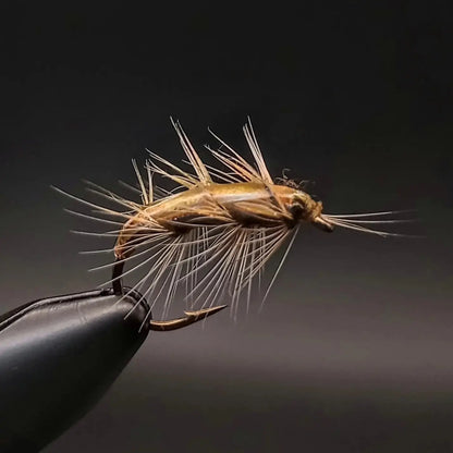 Partridge Heritage YMM2AL Leaded Wide Gape Nymph - SPRITE Fishing