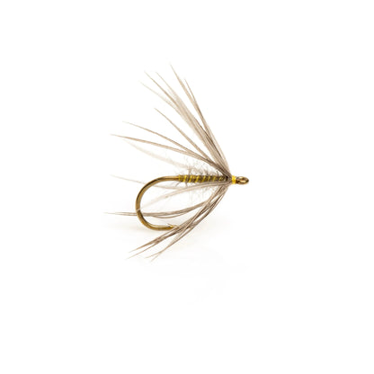 Partridge L3AS Classic Spider Hook SPRITE Fishing