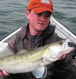 Partridge Pike Fly Leader with Biter Trace SPRITE Fishing