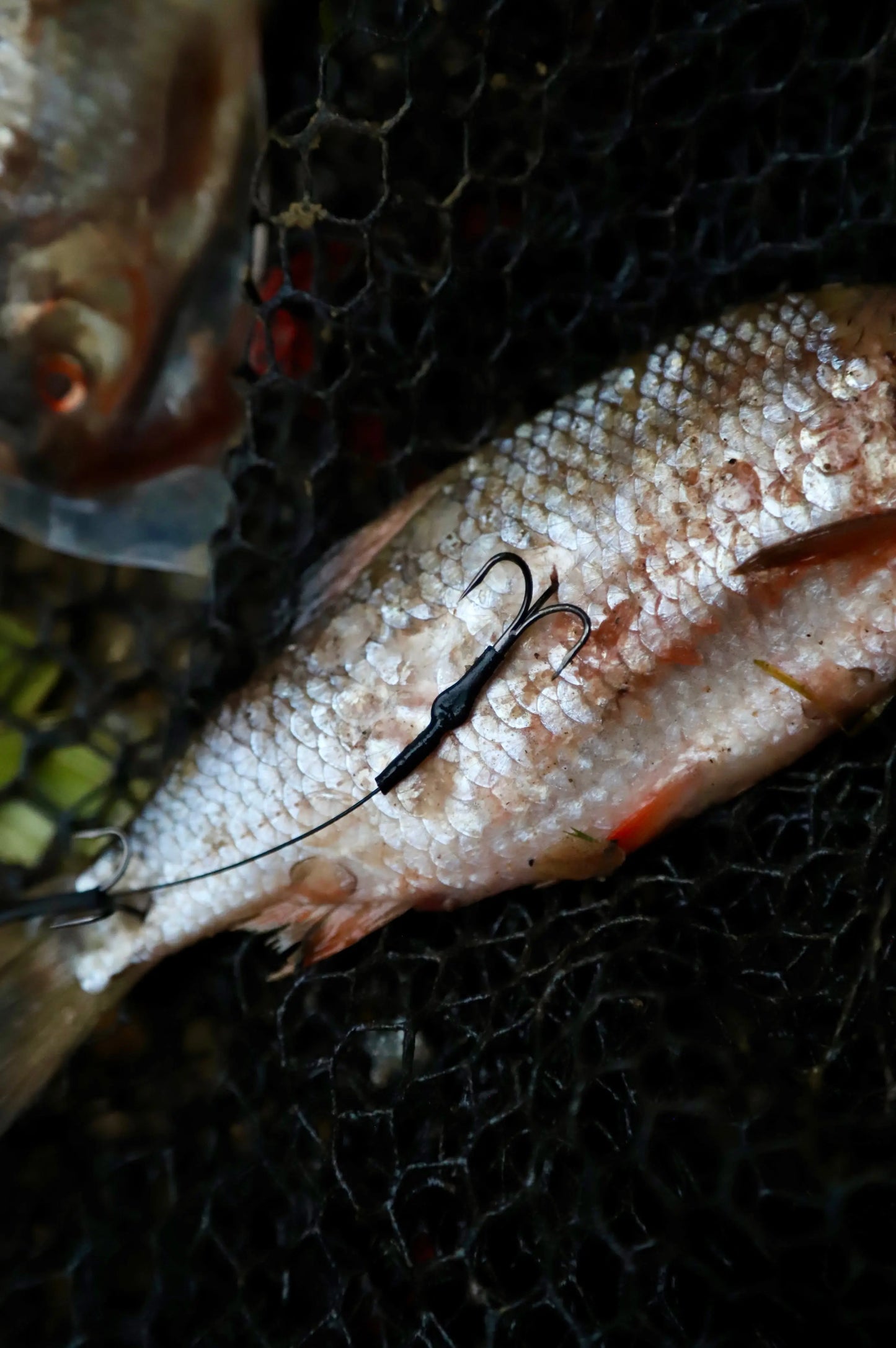 Partridge Snap Tackle, Barbed and Semi-Barbless for Pike, Perch and Zander SPRITE Fishing