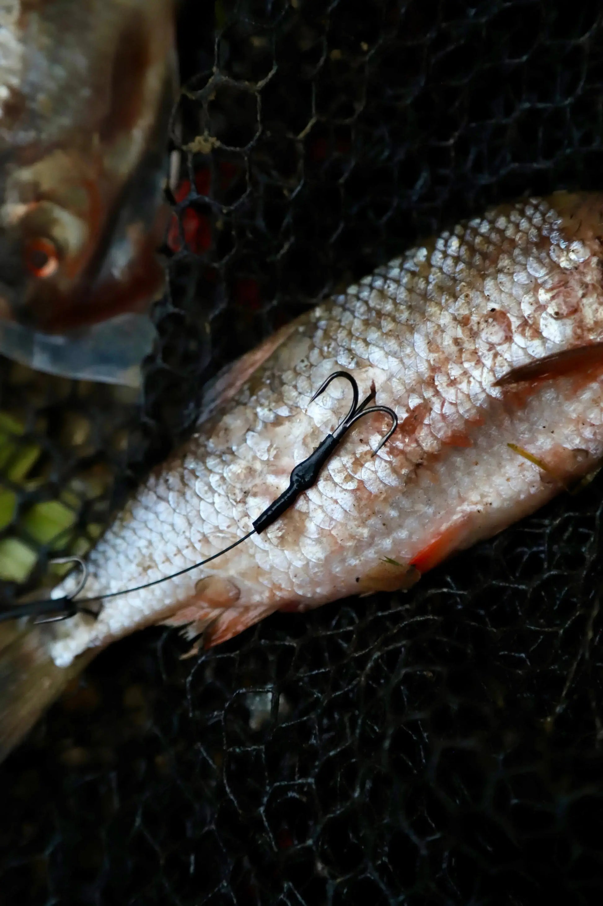 Partridge Predator Z3 Semi-Barbless Treble SPRITE Fishing