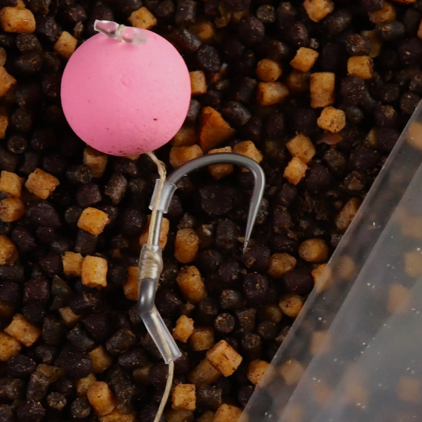 Partridge_Specimen_Carp_F1B-GRS_rigged