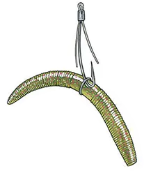 Yamamoto 5-inch Senko Soft Plastic Worm - easy-to-use Bass and Predator Fishing Stick Bait Lures - 10 Pack SPRITE Fishing